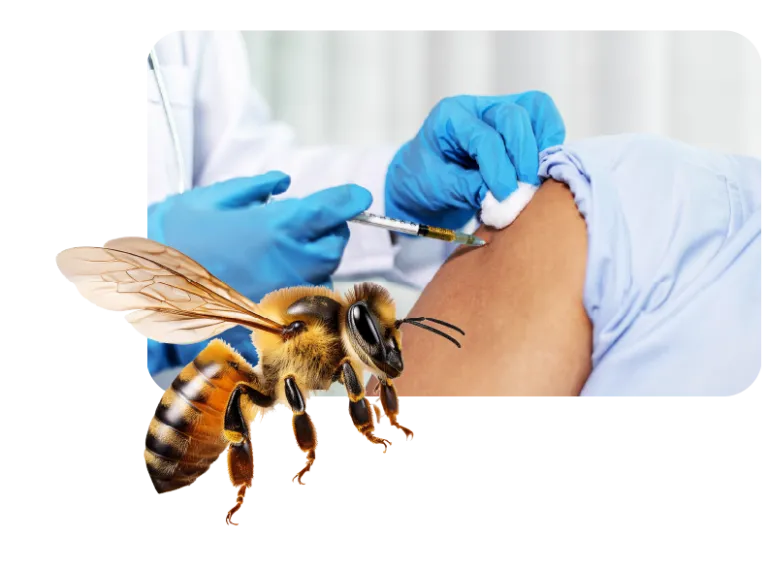 Diater Intraderma