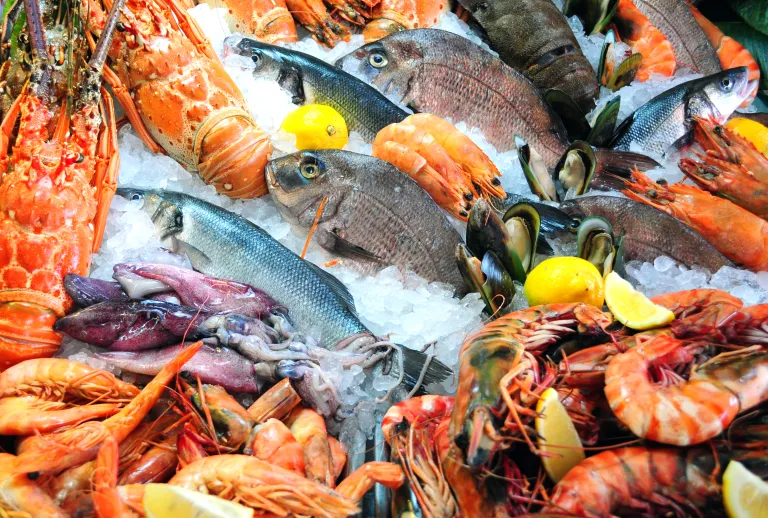 Shellfish